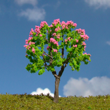 model trees